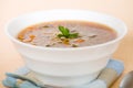 Horizontal barley beef soup Royalty Free Stock Photo