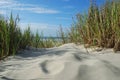 Horizontal Beach sand dunes