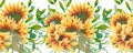 Horizontal border with hand painted acrylic sunflower Royalty Free Stock Photo