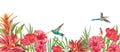 Horizontal border with tropical red flowers, green leaves, bromelia. Watercolor isolated pattern on white background, panoramic Royalty Free Stock Photo