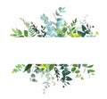 Horizontal botanical vector design banner