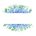 Horizontal botanical vector design banner. Royalty Free Stock Photo