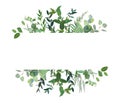 Horizontal botanical vector design banner.