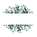 Horizontal botanical vector design banner
