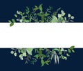 Horizontal botanical vector design banner. Royalty Free Stock Photo