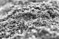 Horizontal bright black and white grass moss bokeh