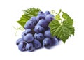 Horizontal bunch of blue grapes isolated on white background Royalty Free Stock Photo