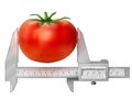 Horizontal caliper measures tomato fruit