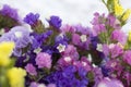 Closeup of vibrant and colorful limonium flowers sea lavender