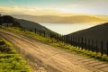 Metalled rural road with baton and wire fence, Mahia Peninsula, North Island, New Zealand Royalty Free Stock Photo