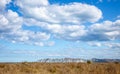 View of Young Nicks Head with beachside golden summer dry dune grasses and blue sky with cumulus clouds, Gisborne, New Zealand