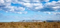 View of Young Nicks Head with beachside golden summer dry dune grasses and blue sky with cumulus clouds, Gisborne, New Zealand