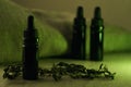 Horizontal composition of three 10 ml black glass bottles surrounded with dried herbs