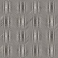 Horizontal curved wavy lines seamless pattern. Black and white vector texture Royalty Free Stock Photo