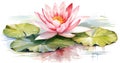 Art single background lotus waterlily horizontal illustration lily abstract reflection tranquil white