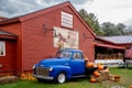 Horizontal display of pumpkins, flowers, gourds and straw on a classic blue American pickup parked Royalty Free Stock Photo