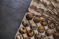 Horizontal Easter still life with quail eggs in a cardboard box. Template with a place for an inscription.