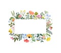 Horizontal floral border. Bright colorful summer wildflowers, grass, isolated on white background. Watercolor botanical frame Royalty Free Stock Photo