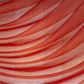 Horizontal folds on organza curtains for background Royalty Free Stock Photo