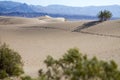 Horizontal Footsteps along a dune in Mesquite Flat Sand Dunes Royalty Free Stock Photo