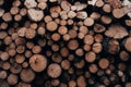 Horizontal format photo. Close up view of the front of many logs prepared for the winter. Nature background Royalty Free Stock Photo