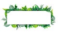 Horizontal frame of tropical leaves around a white empty rectangle.