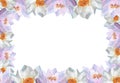 Horizontal frame with watercolor waterlilies Floral for postcards decoration ads frameworks Women\'s day 2024