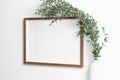 Horizontal frame on white wall with natural eucalyptus. Blank mockup for artwork, print or photo presentation. Royalty Free Stock Photo