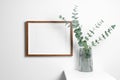 Horizontal frame on white wall with natural eucalyptus in vase. Blank mockup for artwork, print or photo presentation. Royalty Free Stock Photo