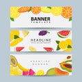 Horizontal fruit banner for your design vector illustration Royalty Free Stock Photo