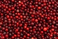 Horizontal full background of juicy red cranberries. Cranberry national holiday and Thanksgiving Day