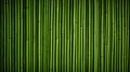 Horizontal green bamboo background texture