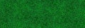 horizontal green turf texture for pattern and background Royalty Free Stock Photo