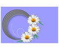 Horizontal greeting card template with daisy flower vector illustration