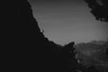 Horizontal greyscale shot of high mountains with beautiful trees under the clear sky