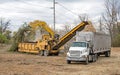 Horizontal Grinder Mulching Felled Trees During Deforestation Royalty Free Stock Photo