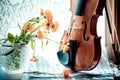 Flowers,  violin with sheet music  on windows background Royalty Free Stock Photo