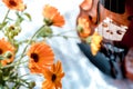 Horizontal image of the bottom half of violin with sheet music and flowers the front of the fiddle on windows Royalty Free Stock Photo