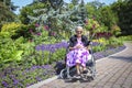 Elderly lady sitting in a wheelchair in the flower garden Royalty Free Stock Photo