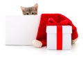 Cute kitten peeking out from behind blank Christmas sign next to gift box Royalty Free Stock Photo