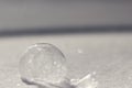 Horizontal image of frozen bubble in sparkly snow