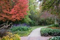 Horizontal image of garden walkway in fall Royalty Free Stock Photo