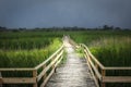 Winding wooden walking bridge with tall grass marshland