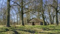 Horizontal image of an old rustic abandoned house and trees. Countryside concept. Space for text Royalty Free Stock Photo