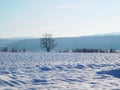 Winter scenery landscape