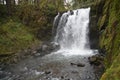 Horizontal Majestic Falls in McDowell Creek Park, Oregon Royalty Free Stock Photo