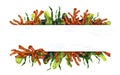 Horizontal marine frame made of tropical fish, corals, algae, stones. Underwater world, digital illustration on a white background Royalty Free Stock Photo