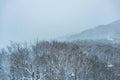 Snow-Covered Trees and Misty Mountain in a Muted Winter Landscape Under an Overcast Sky Royalty Free Stock Photo