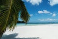 Horizontal palm on the beach of Anse Volbert on the Seychelles. Royalty Free Stock Photo