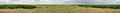 Horizontal panorama of the steppe of Ukraine.